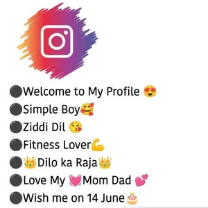 instagram bio for boys attitude